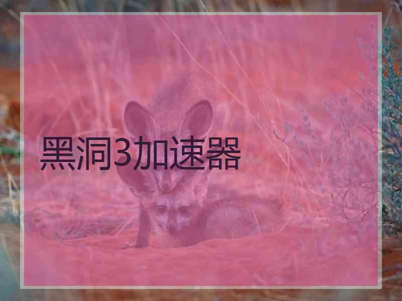 黑洞3加速器