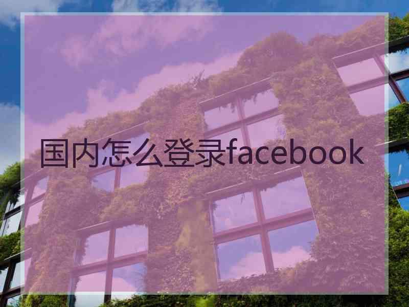 国内怎么登录facebook