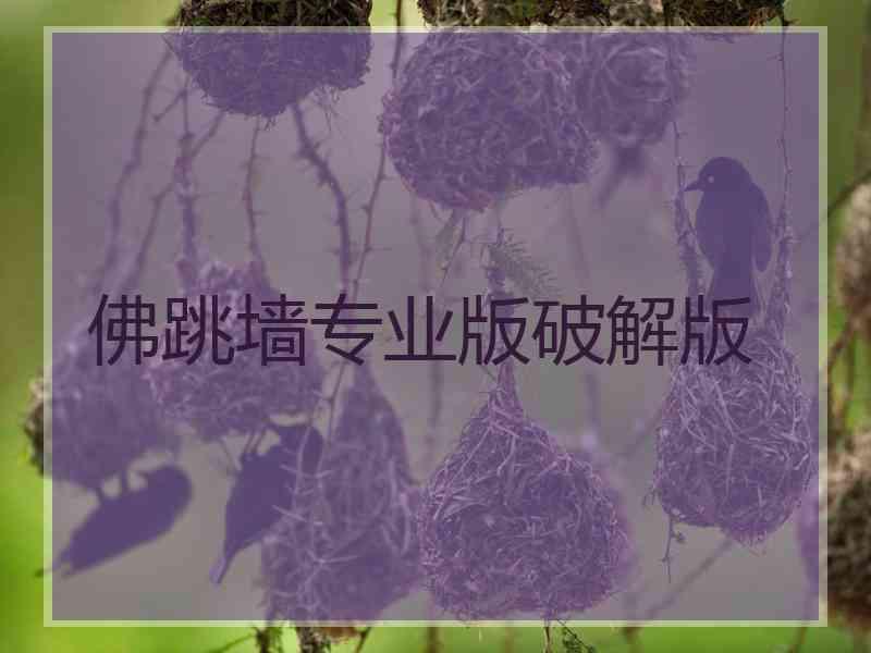 佛跳墙专业版破解版