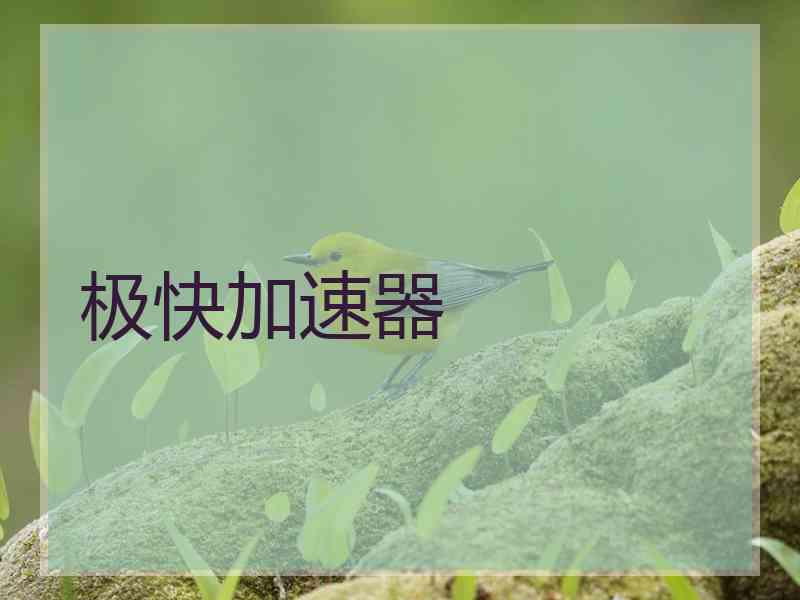 极快加速器
