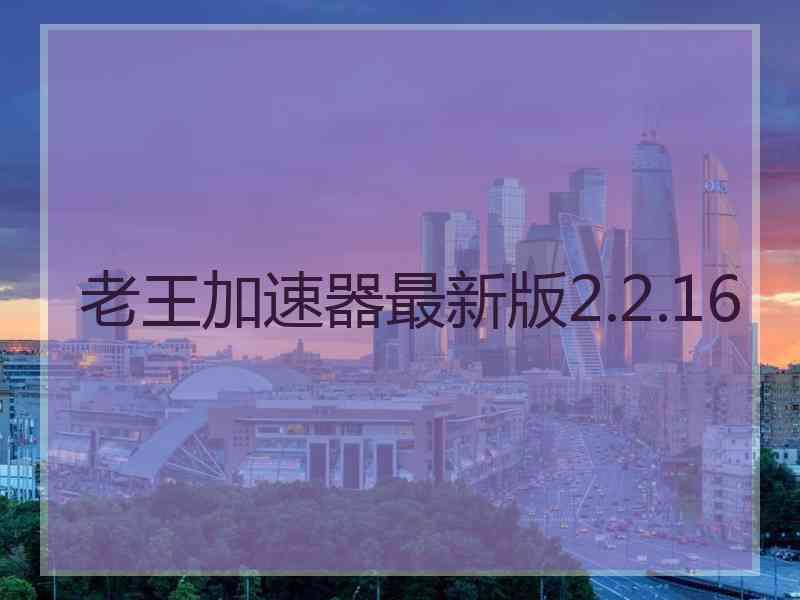 老王加速器最新版2.2.16