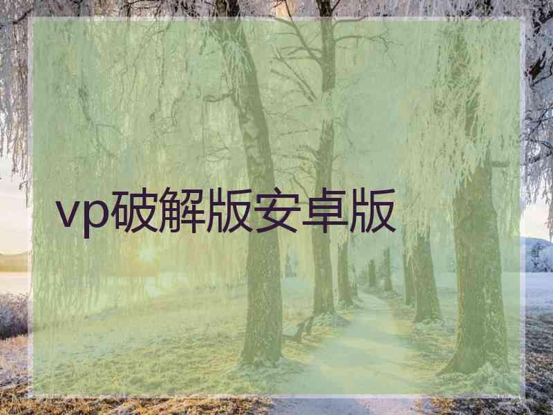 vp破解版安卓版