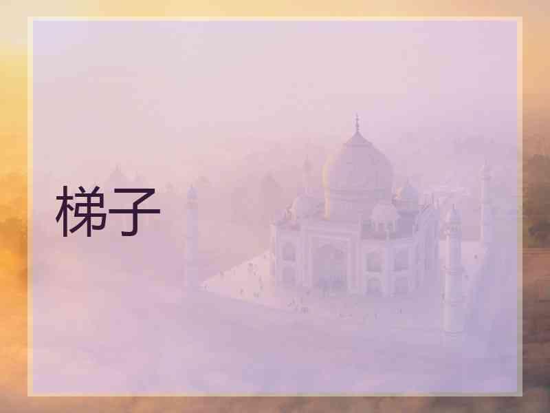 梯子
