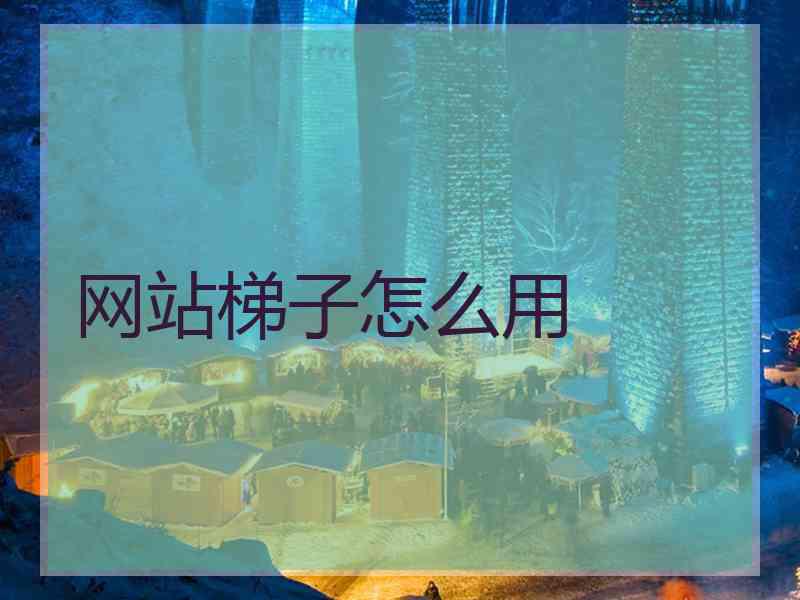 网站梯子怎么用