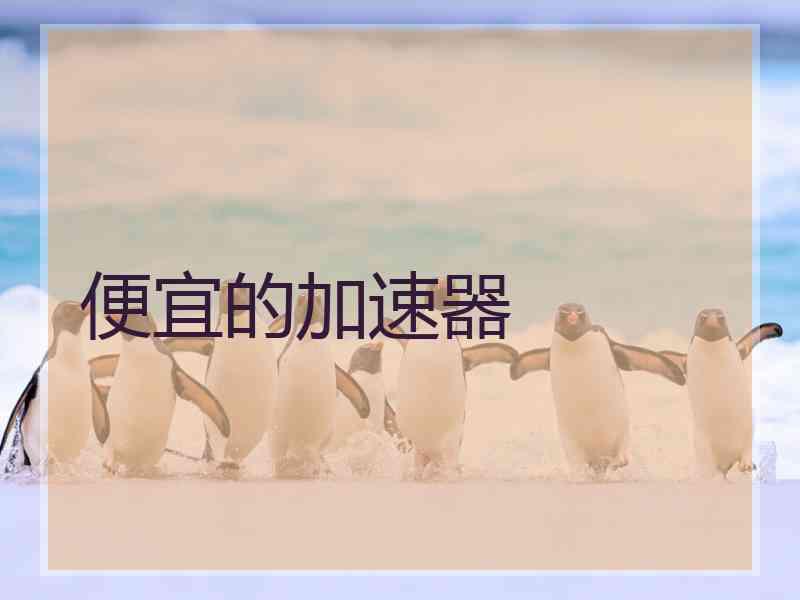 便宜的加速器