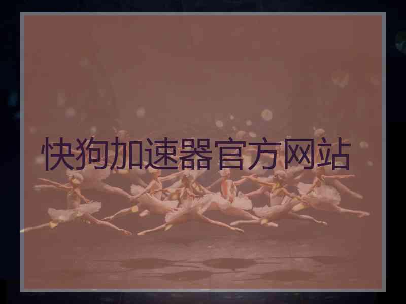 快狗加速器官方网站