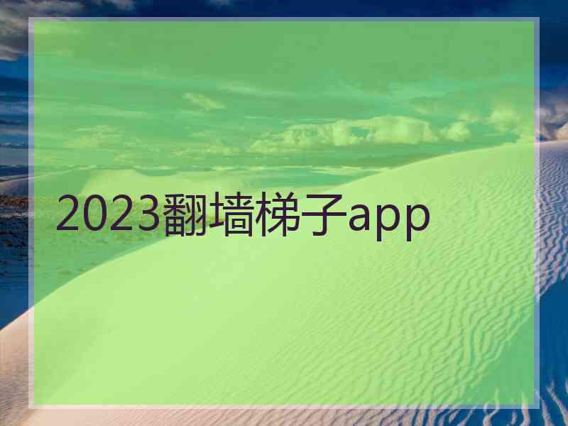 2023翻墙梯子app