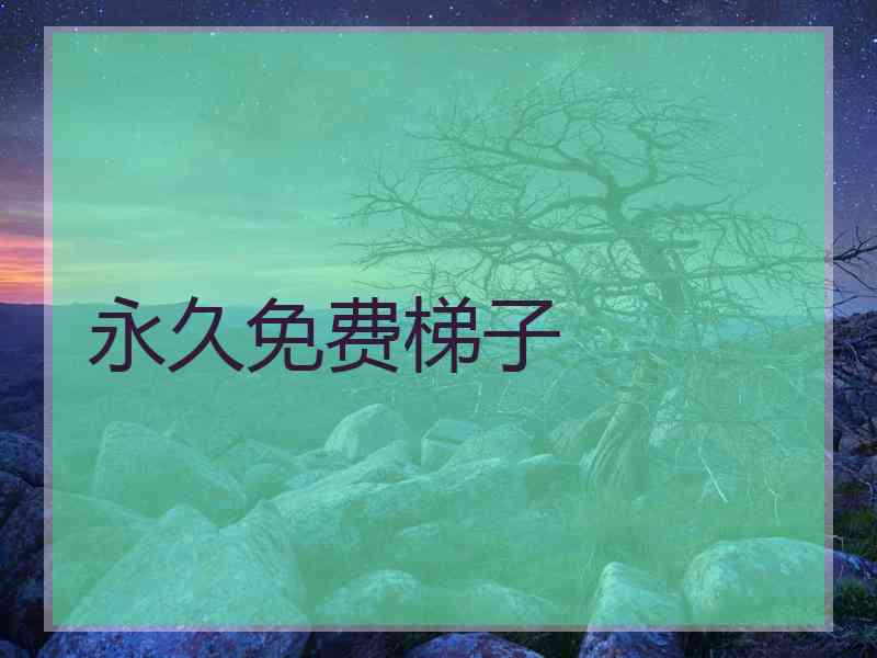 永久免费梯子