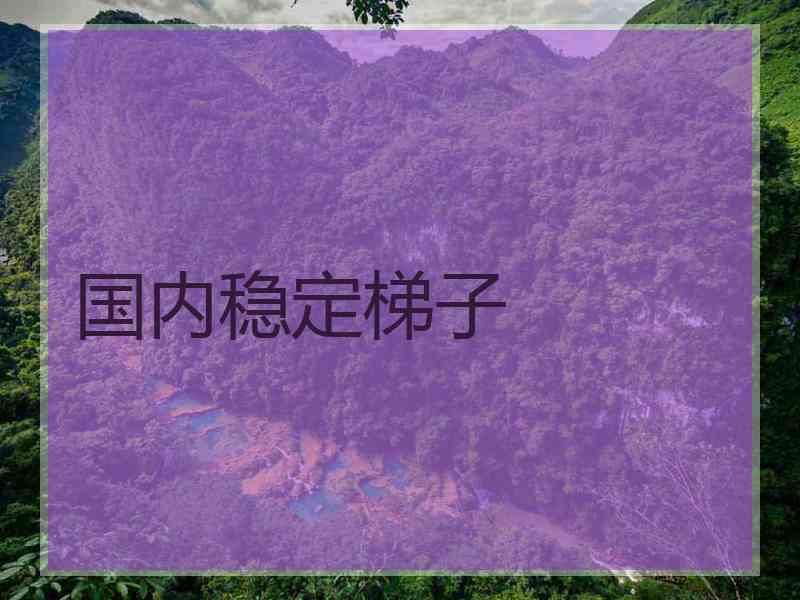 国内稳定梯子