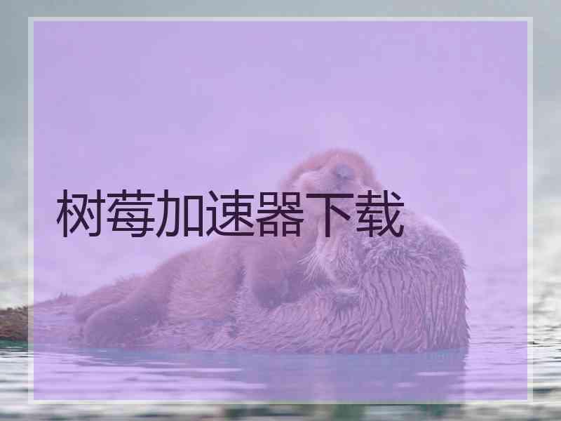 树莓加速器下载