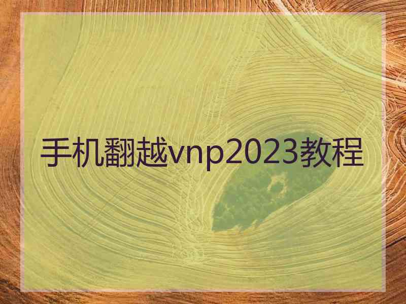 手机翻越vnp2023教程