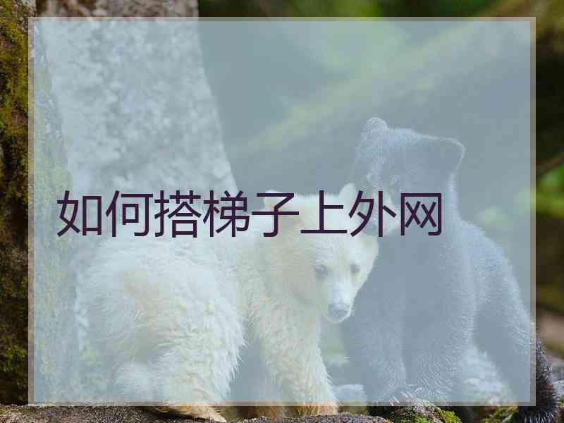 如何搭梯子上外网