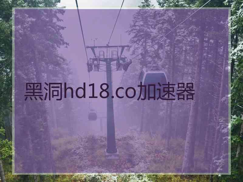 黑洞hd18.co加速器