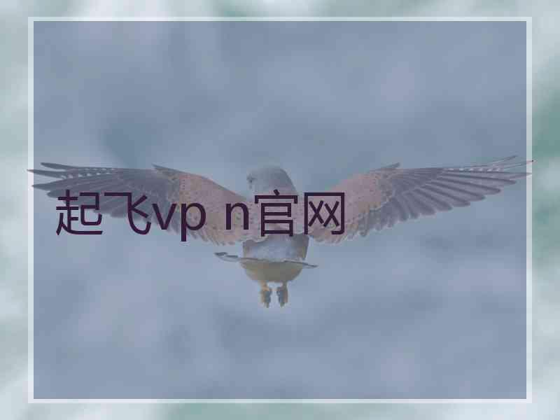 起飞vp n官网