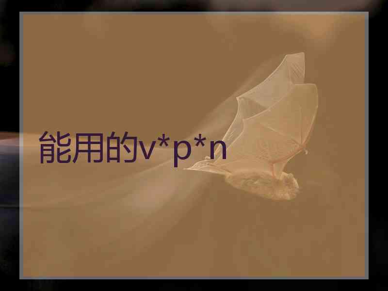 能用的v*p*n