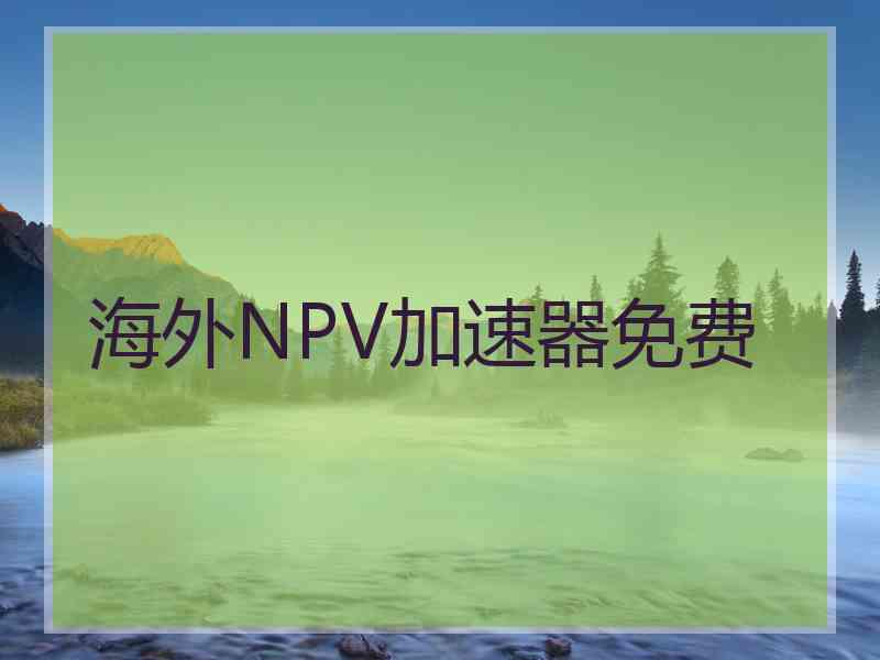 海外NPV加速器免费