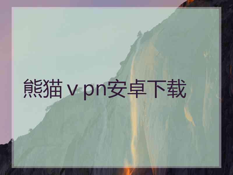 熊猫ⅴpn安卓下载