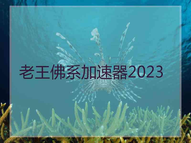 老王佛系加速器2023
