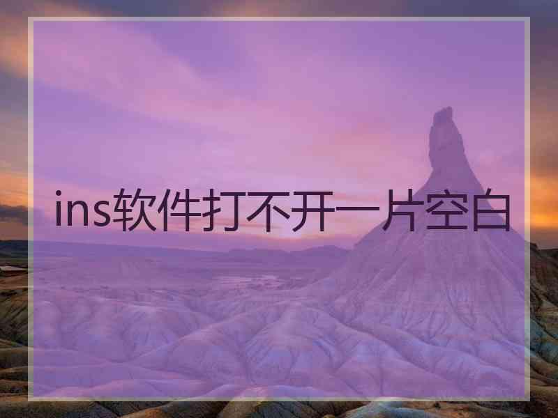 ins软件打不开一片空白