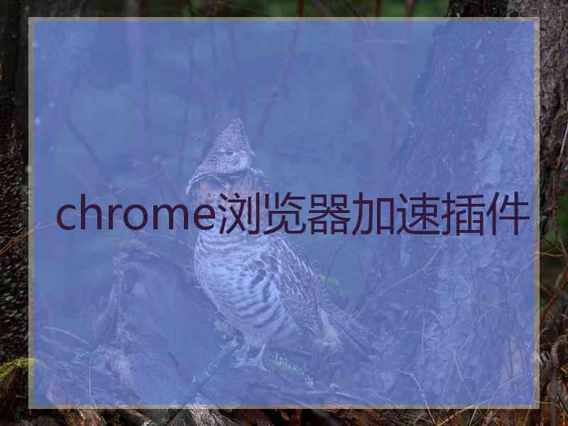 chrome浏览器加速插件