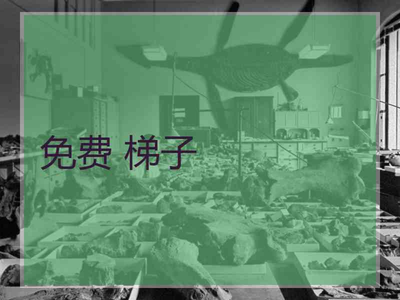 免费 梯子