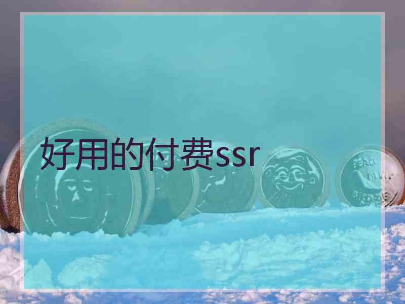 好用的付费ssr