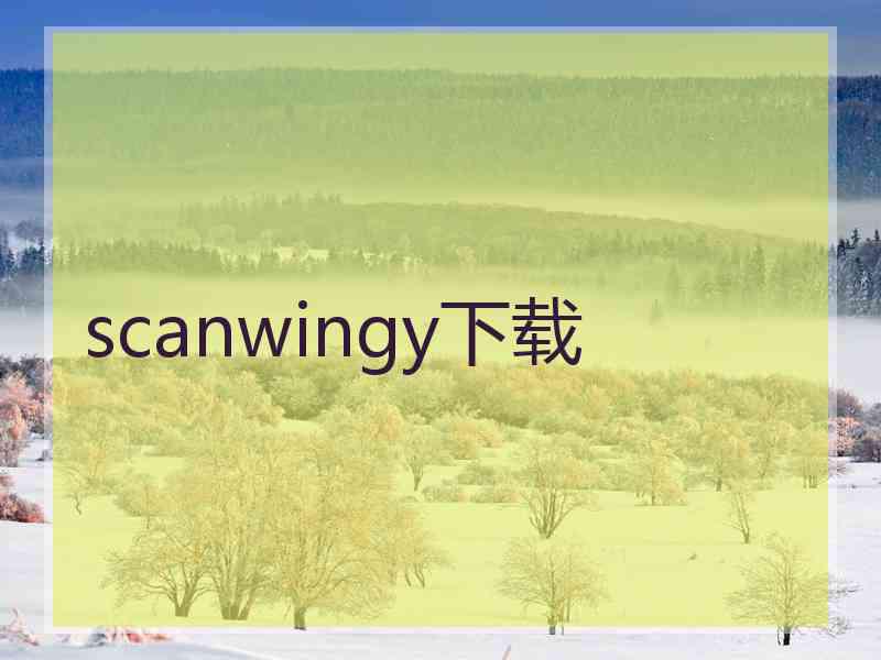 scanwingy下载