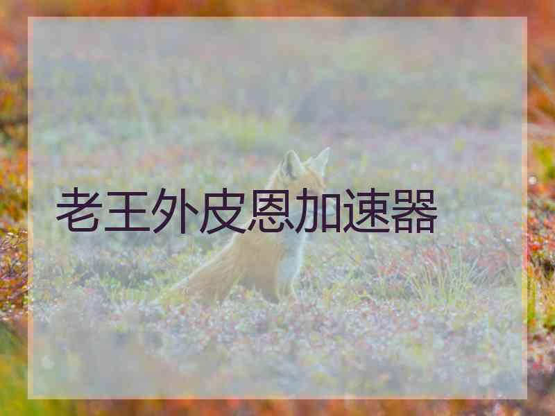 老王外皮恩加速器