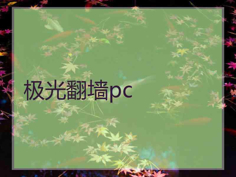极光翻墙pc