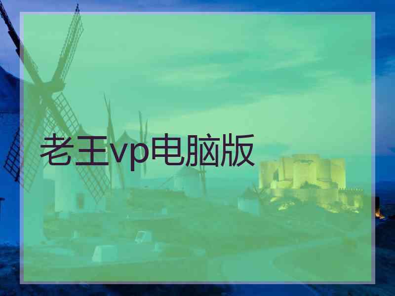老王vp电脑版