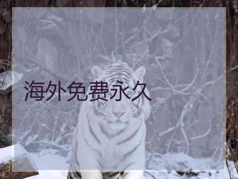 海外免费永久