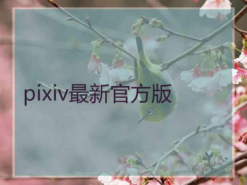 pixiv最新官方版