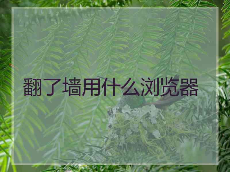 翻了墙用什么浏览器