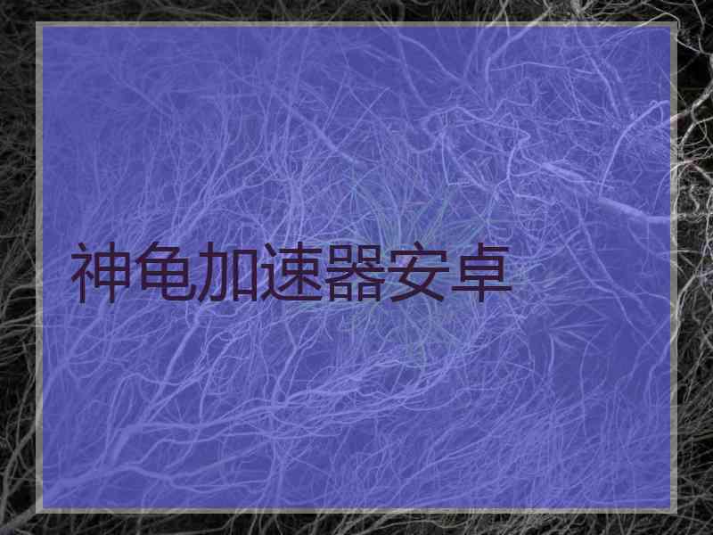 神龟加速器安卓