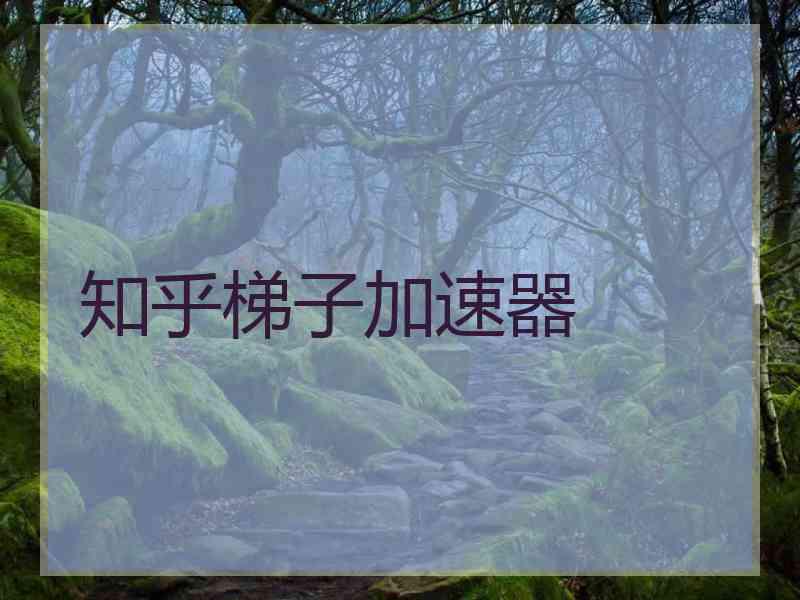知乎梯子加速器