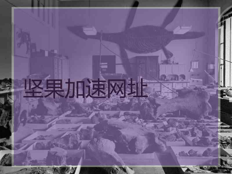 坚果加速网址