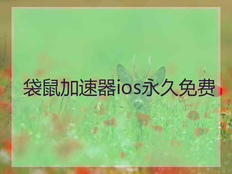 袋鼠加速器ios永久免费