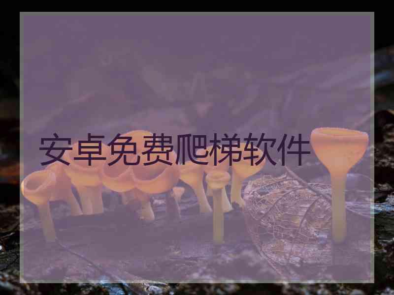 安卓免费爬梯软件
