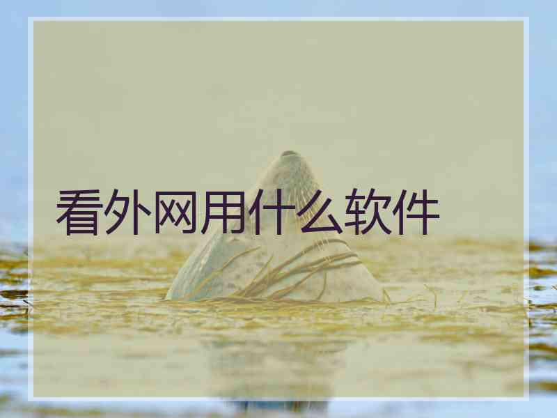 看外网用什么软件