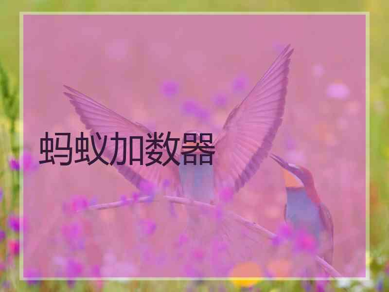 蚂蚁加数器