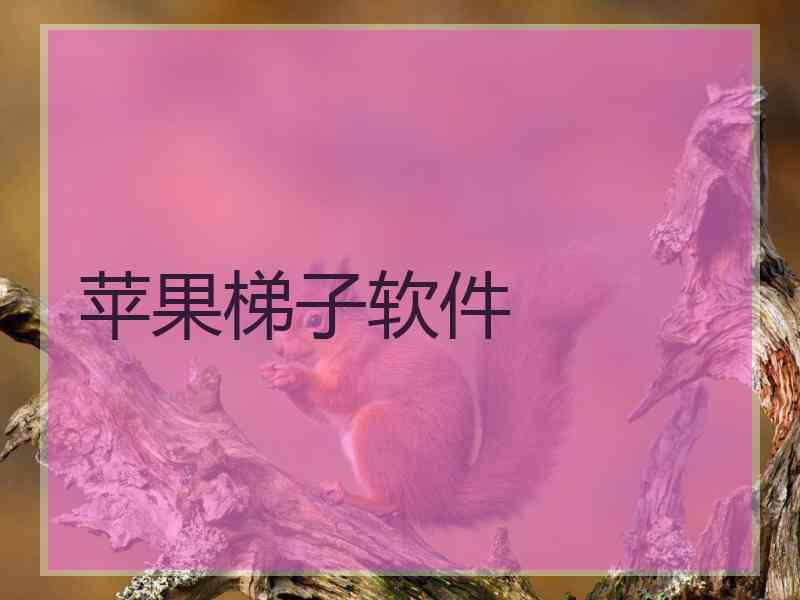 苹果梯子软件