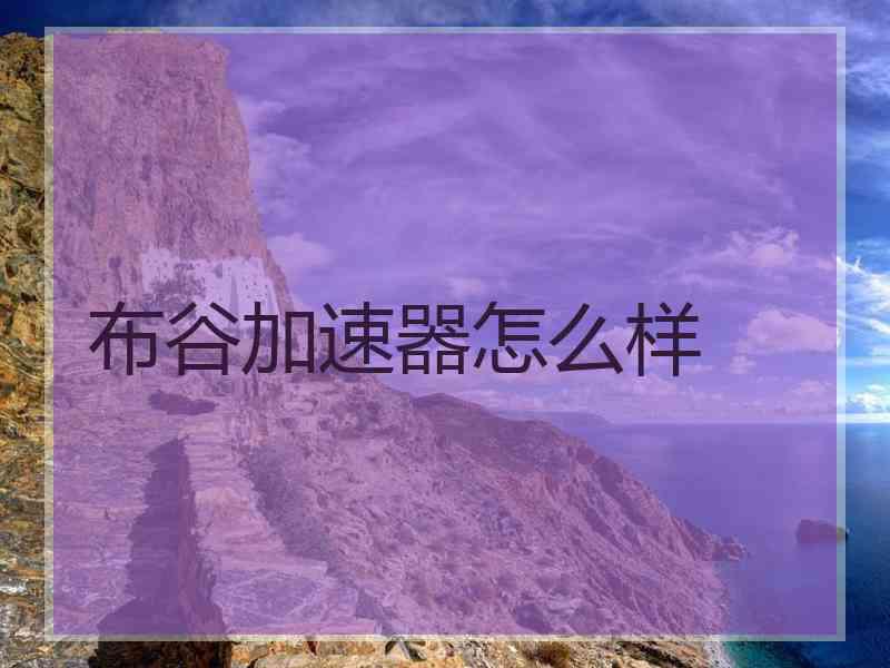 布谷加速器怎么样