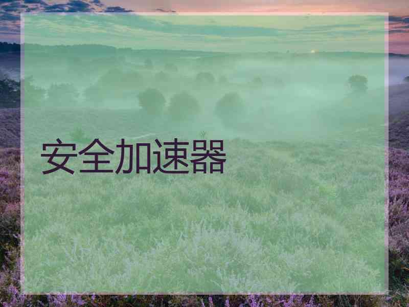 安全加速器