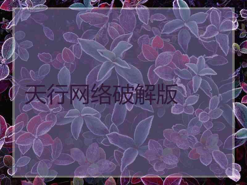 天行网络破解版