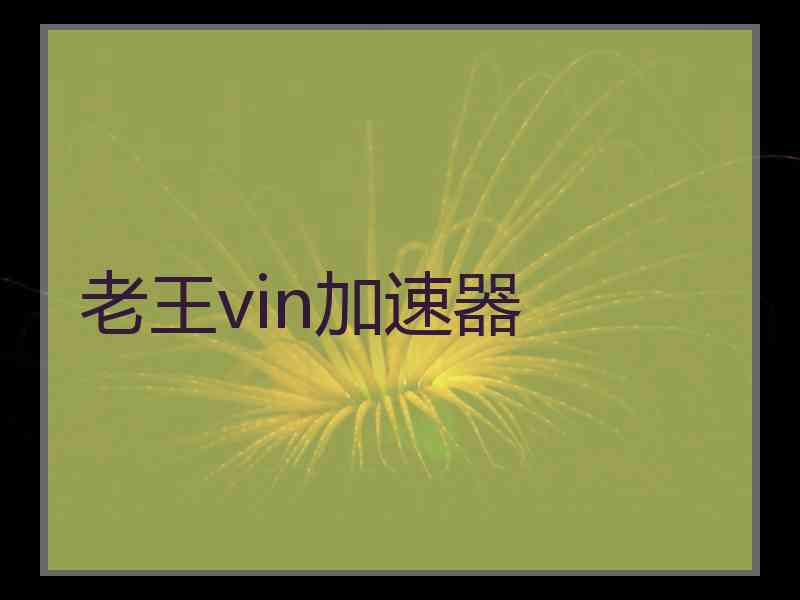 老王vin加速器