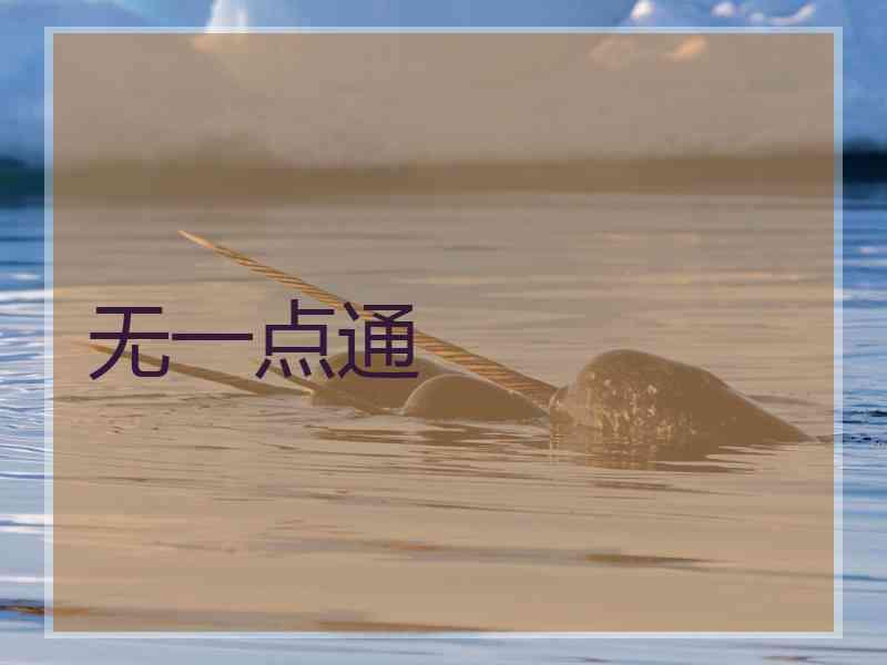 无一点通