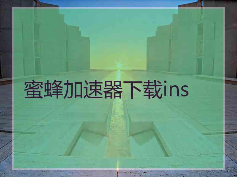 蜜蜂加速器下载ins