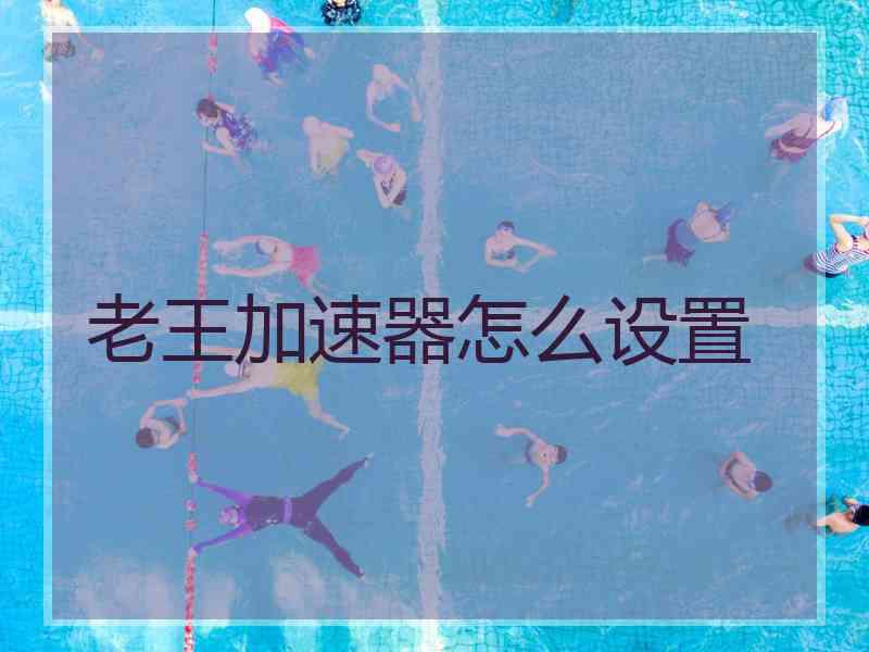老王加速器怎么设置