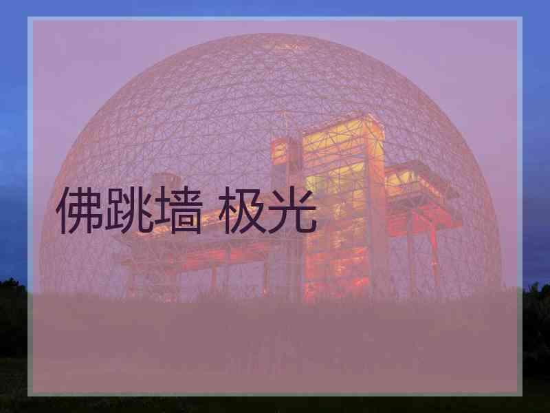 佛跳墙 极光