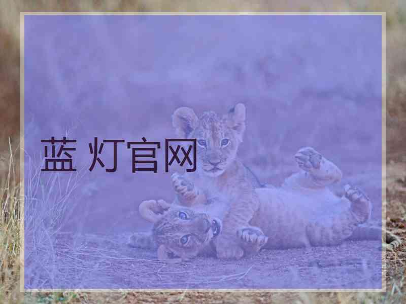 蓝 灯官网